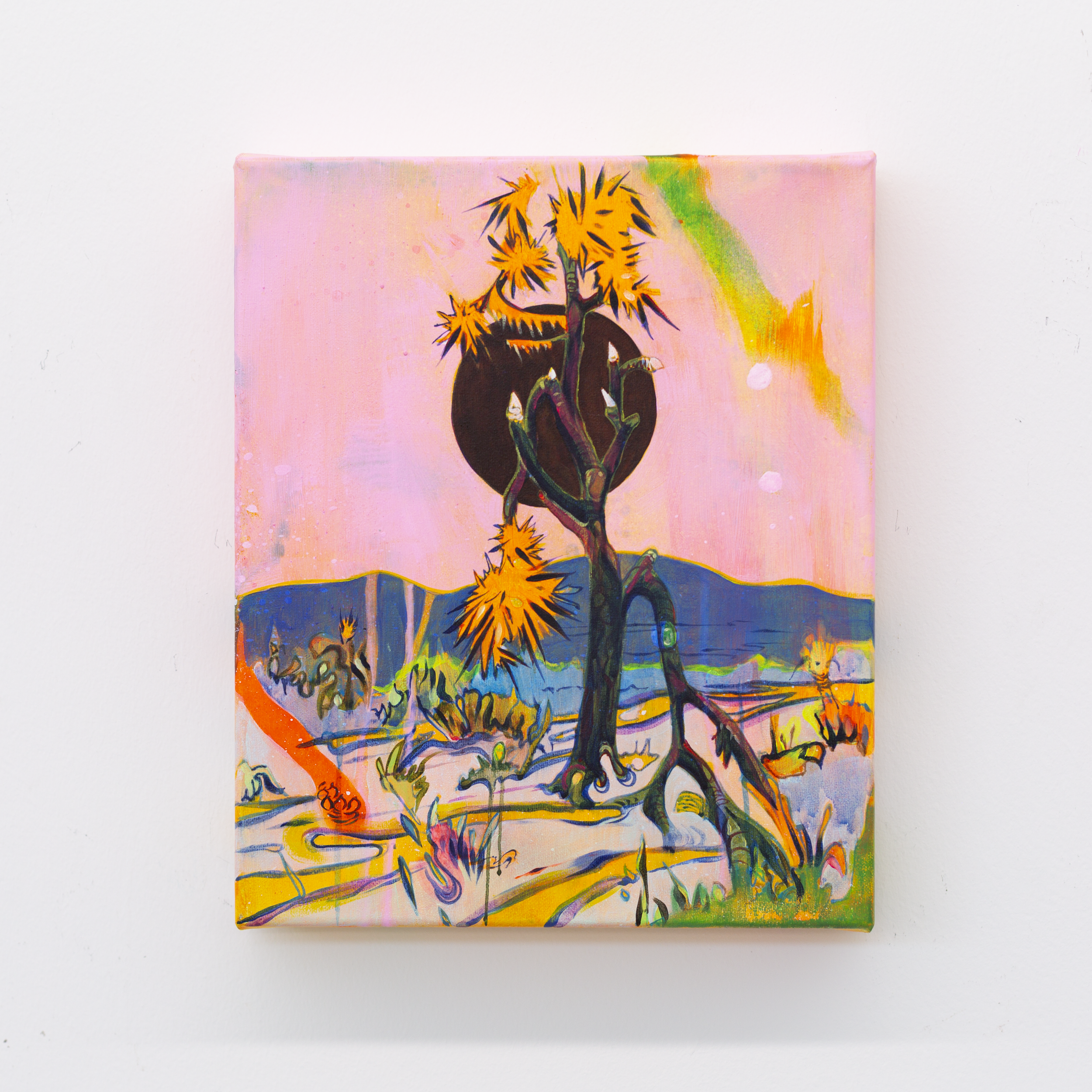 Daniel Freaker 1.PNG