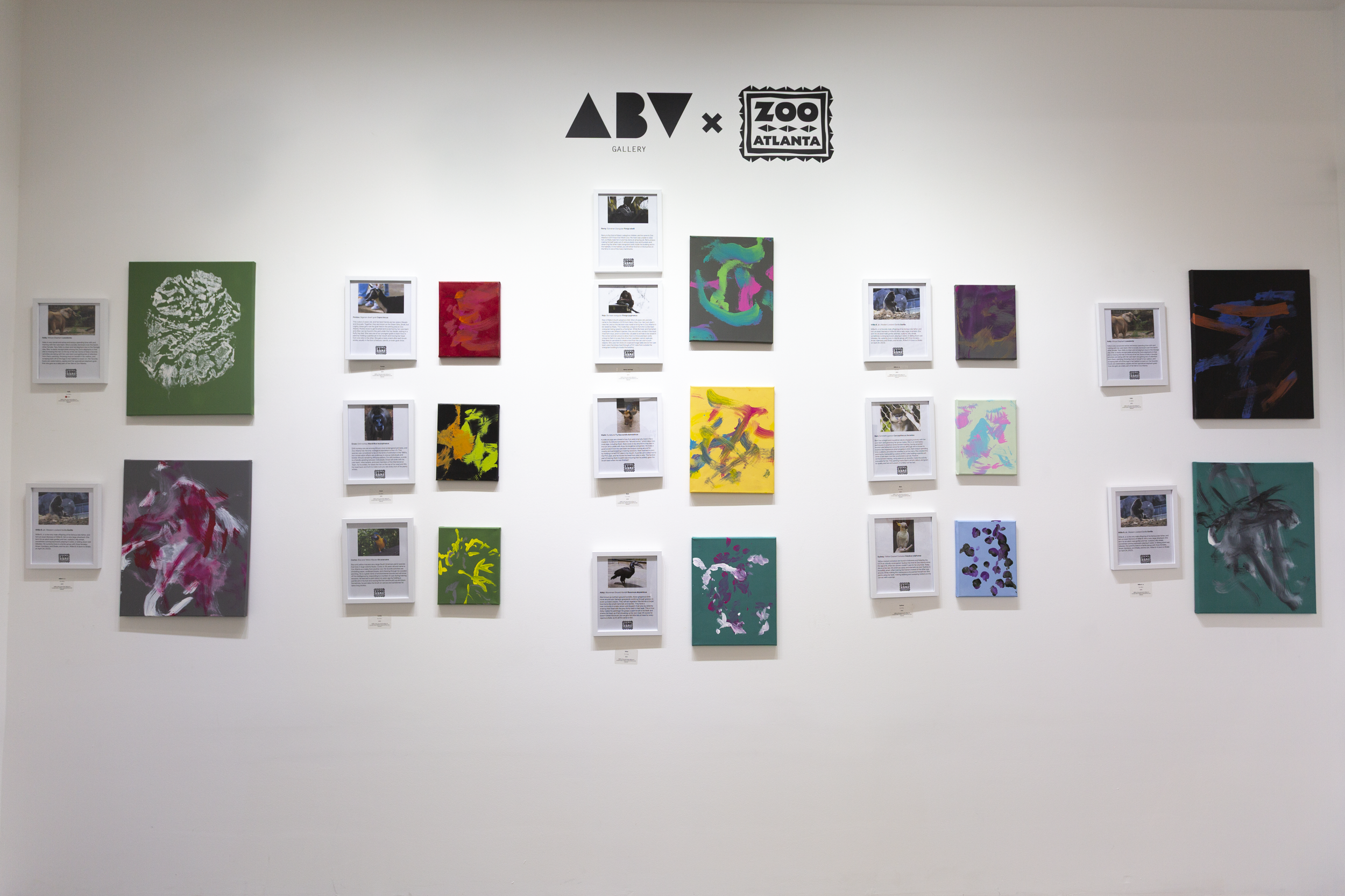 Animal Inspirations_2.PNG