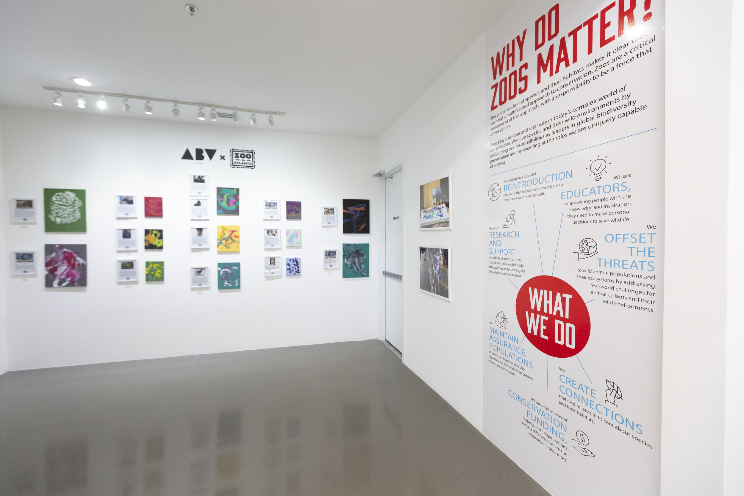 Animal Inspirations.PNG