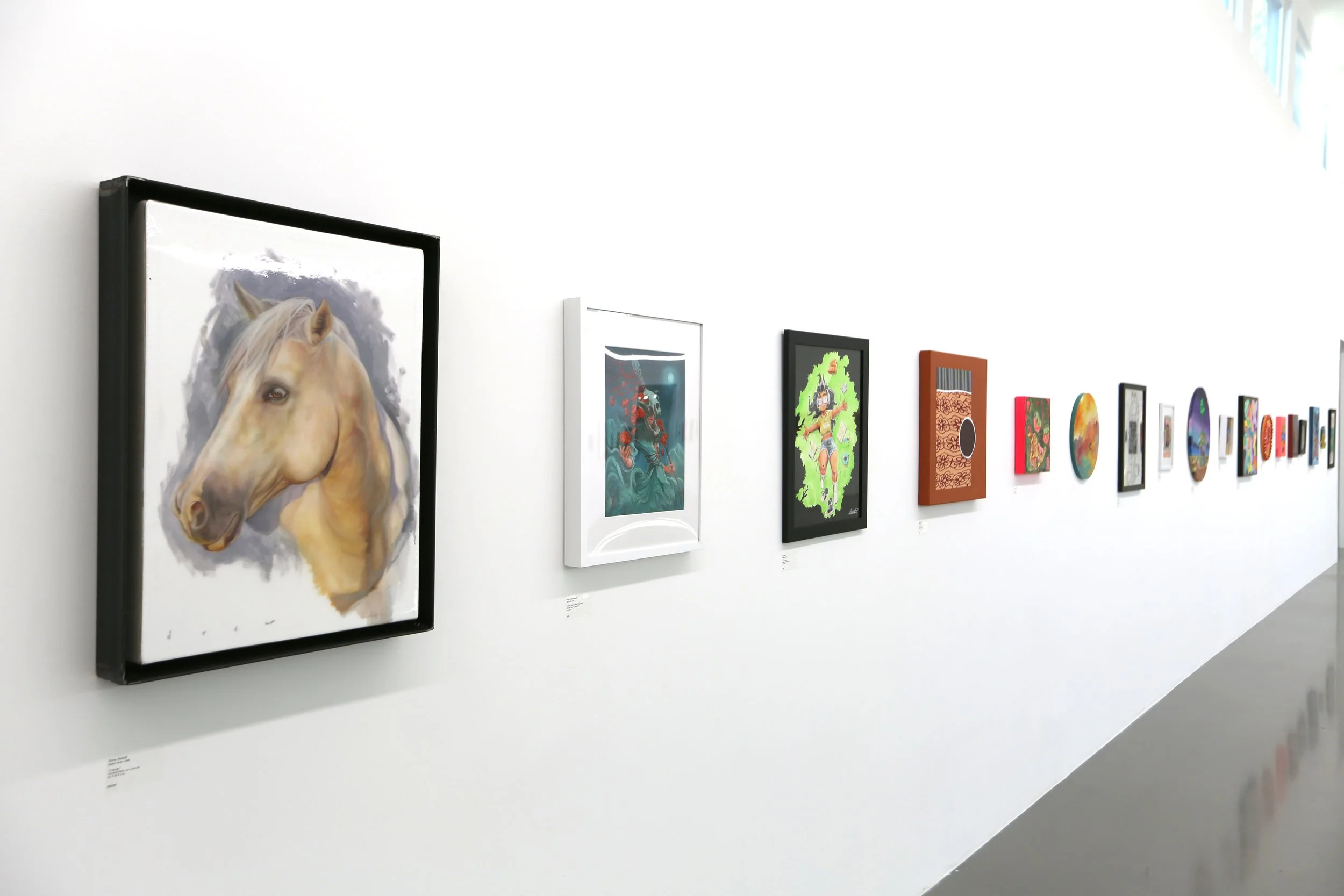 evolution install.jpg