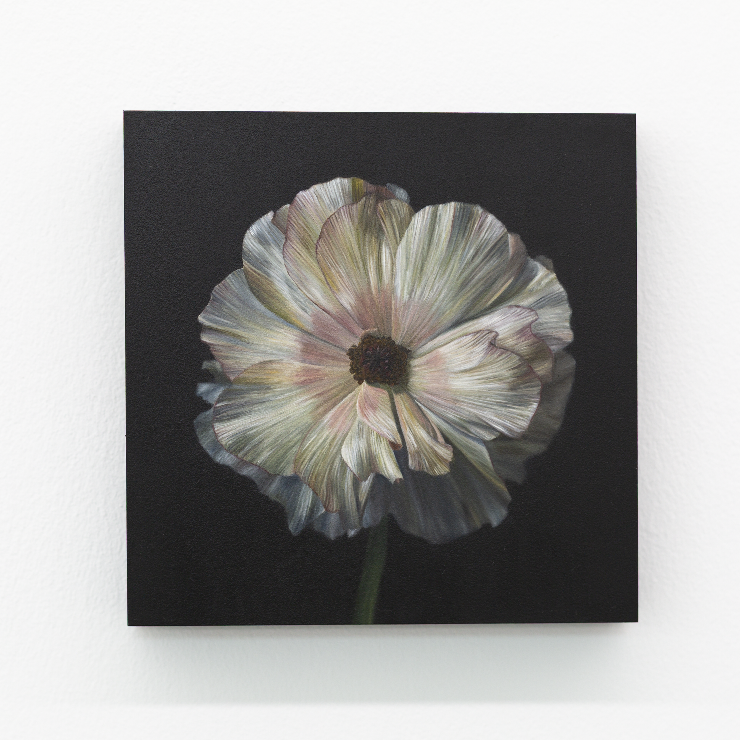 Sami Jacq - Dusk.PNG