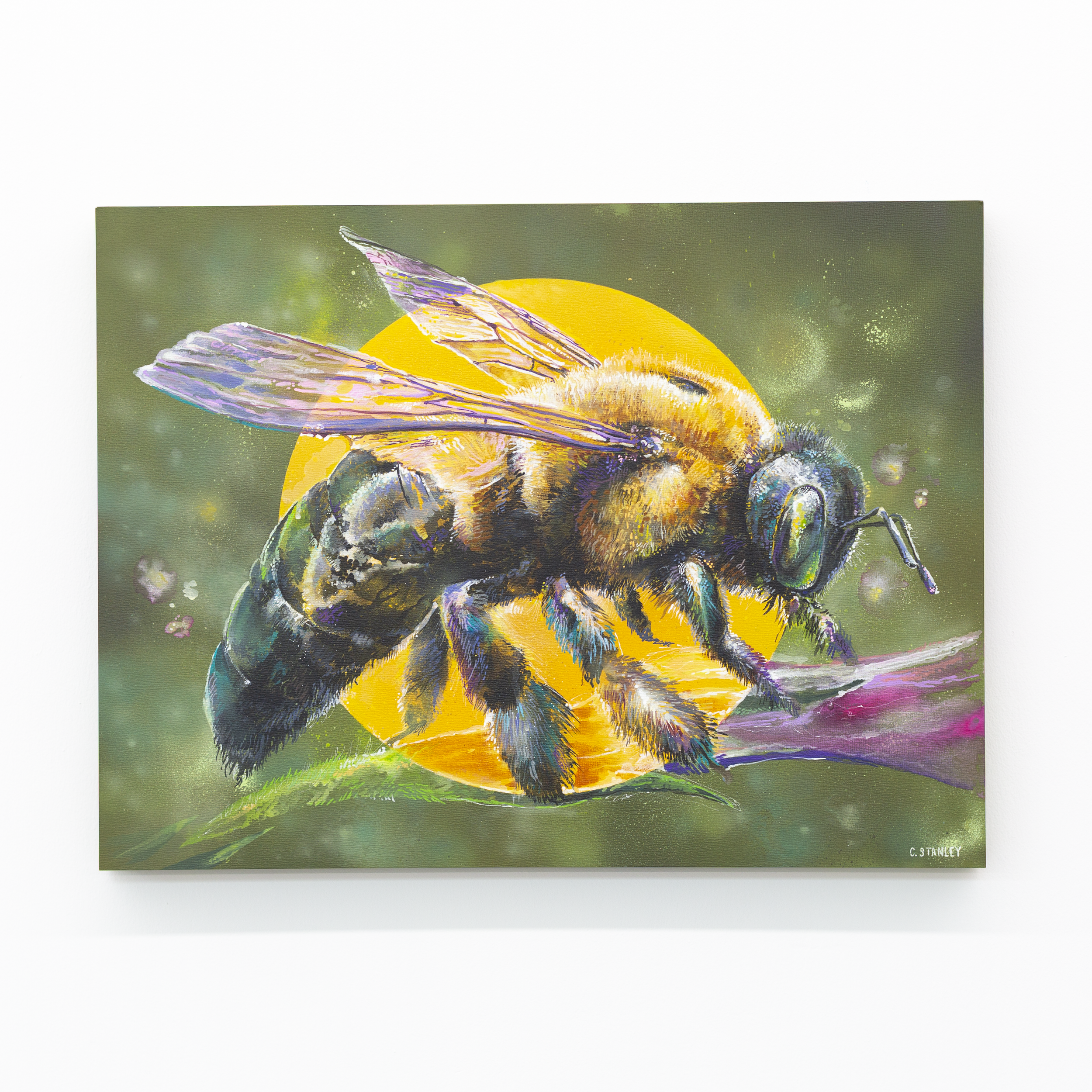 christian stanley.PNG