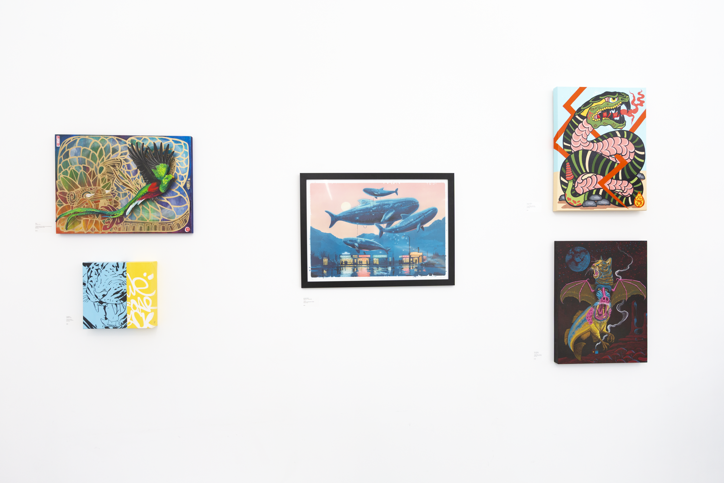 Wild Wonders Install_20.PNG