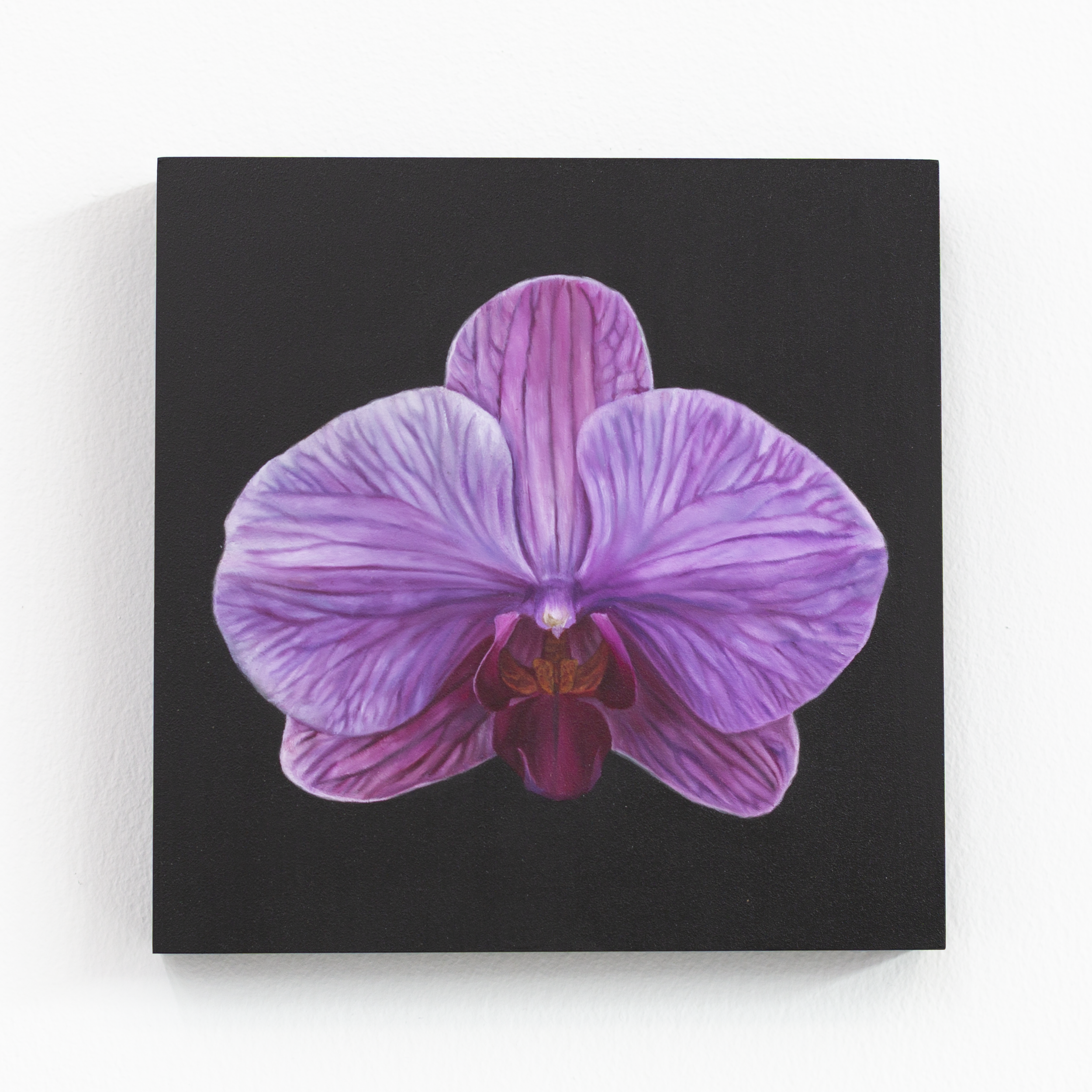 SAMI JACQ - Atlanta Botanical No. 6.PNG