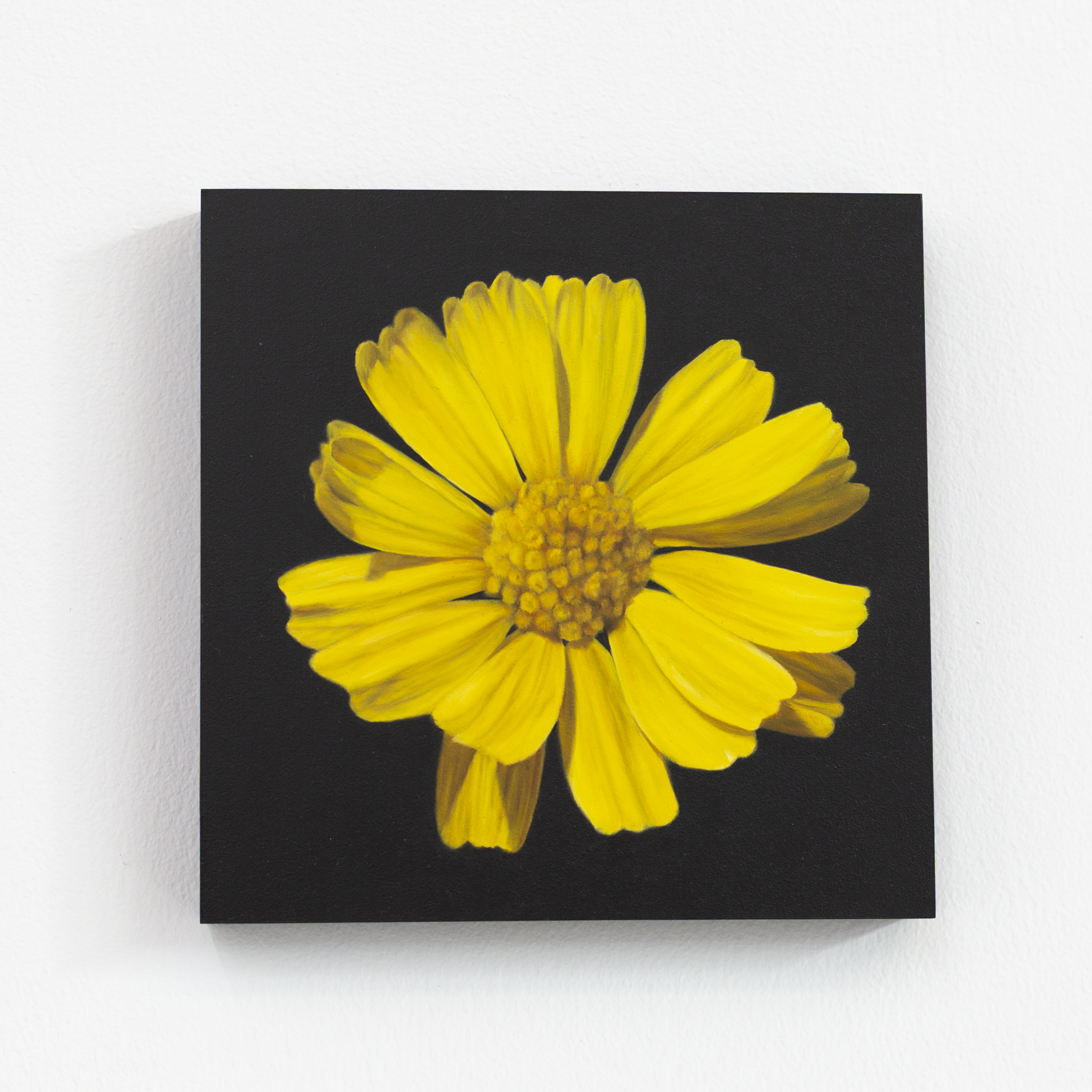 SAMI JACQ - Atlanta Botanical No. 7.PNG