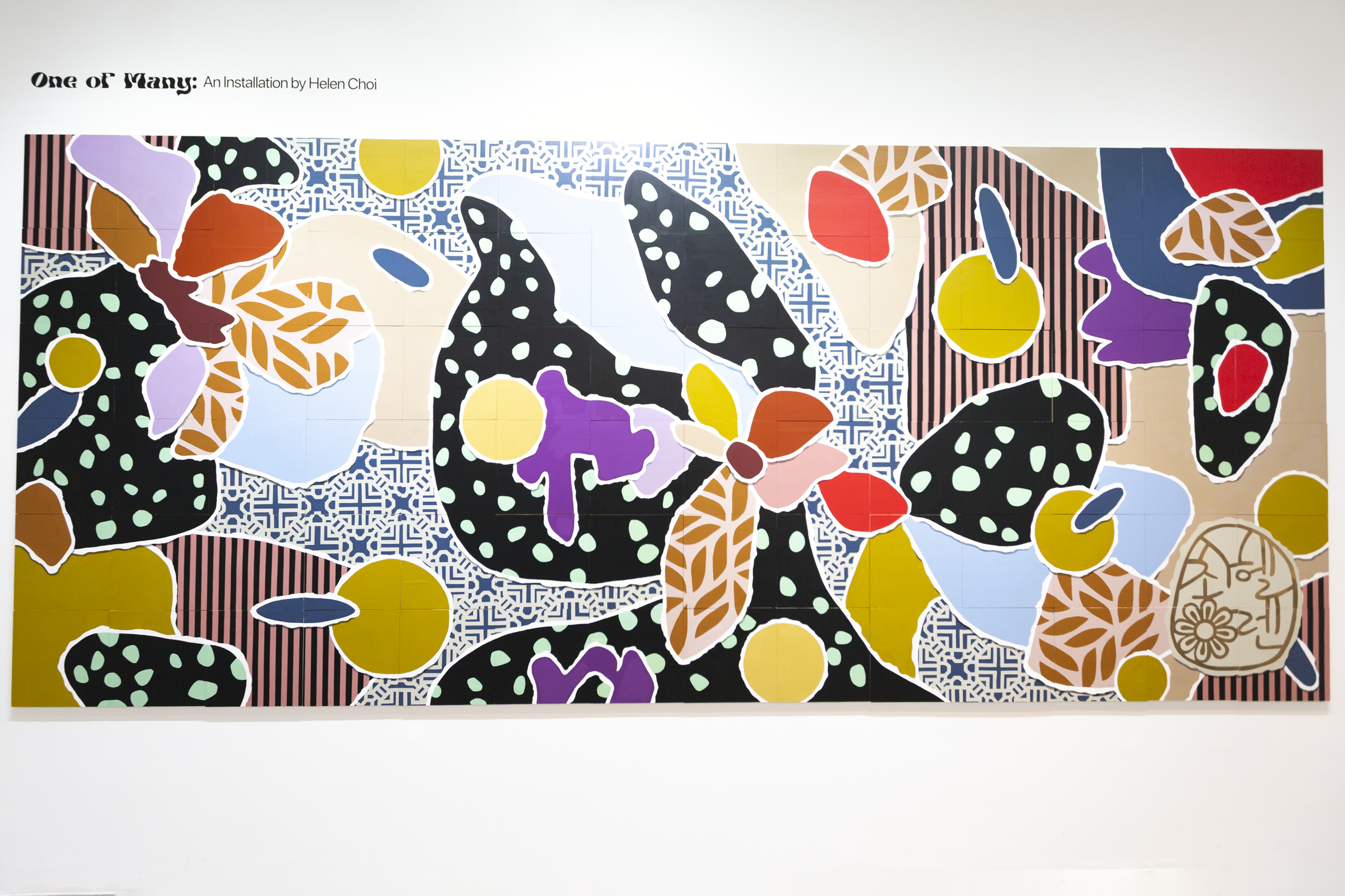 ONE OF MANY INSTALL.PNG