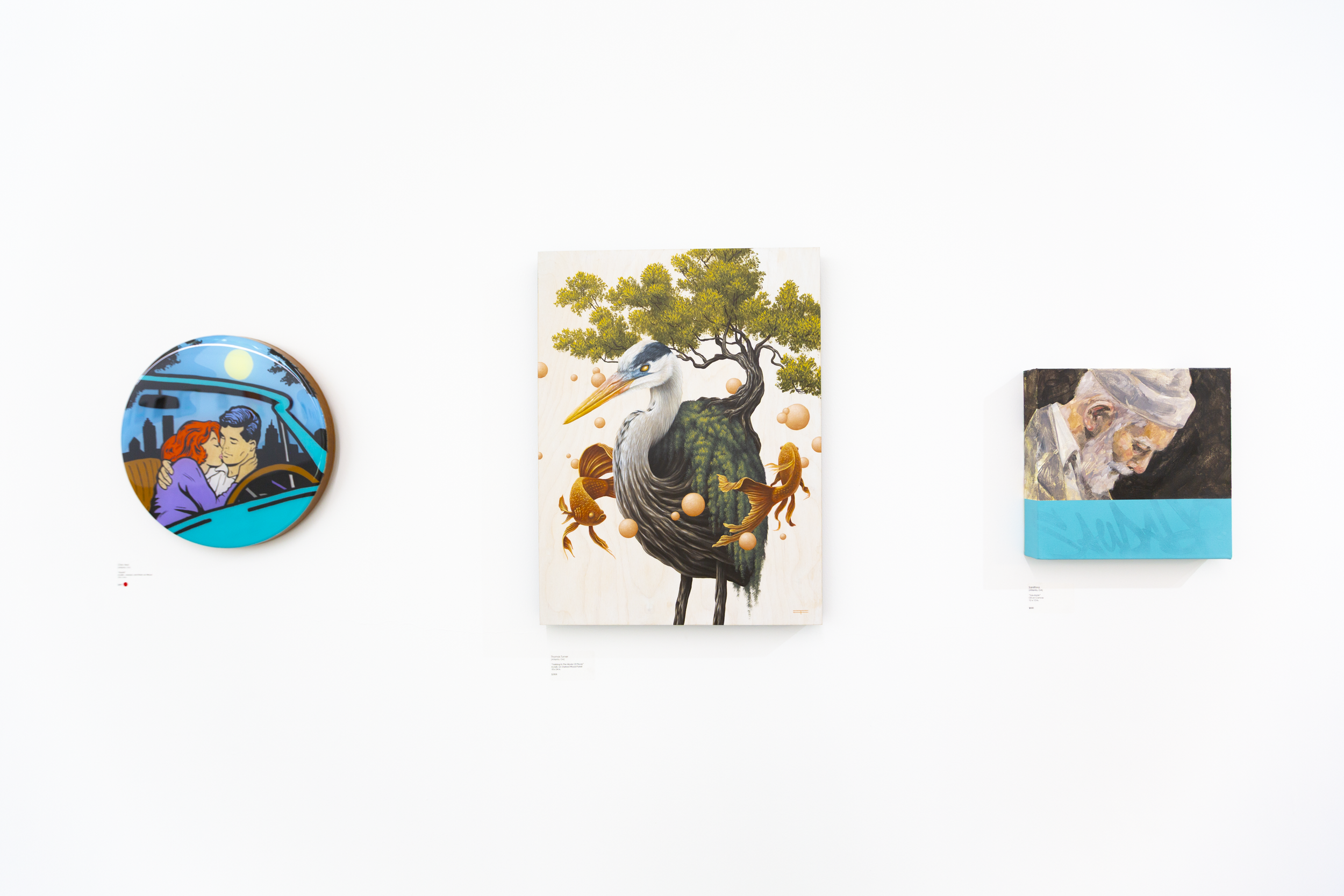 evolution install_20.PNG