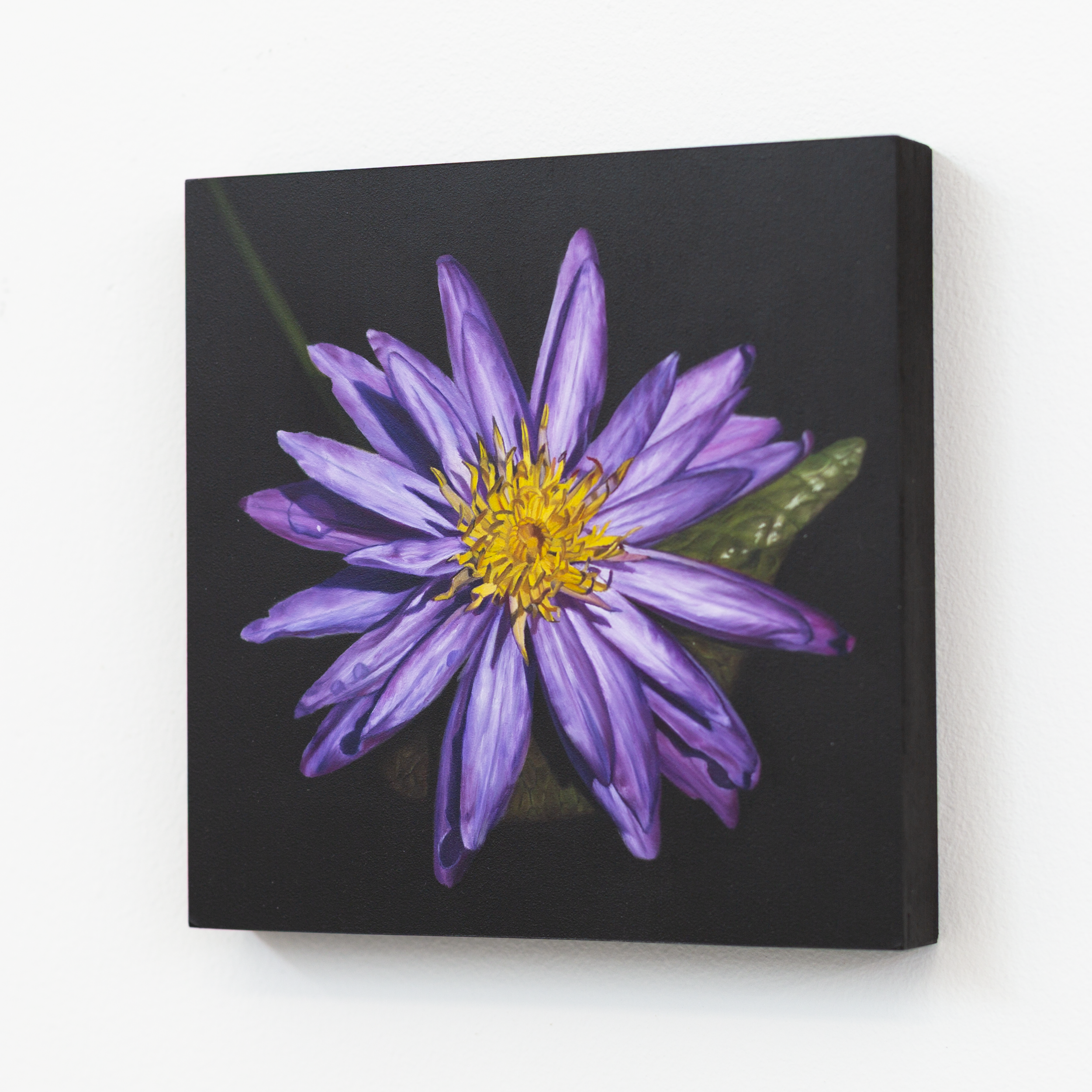 Sami Jacq - Atlanta Botanical No. 1_1.PNG