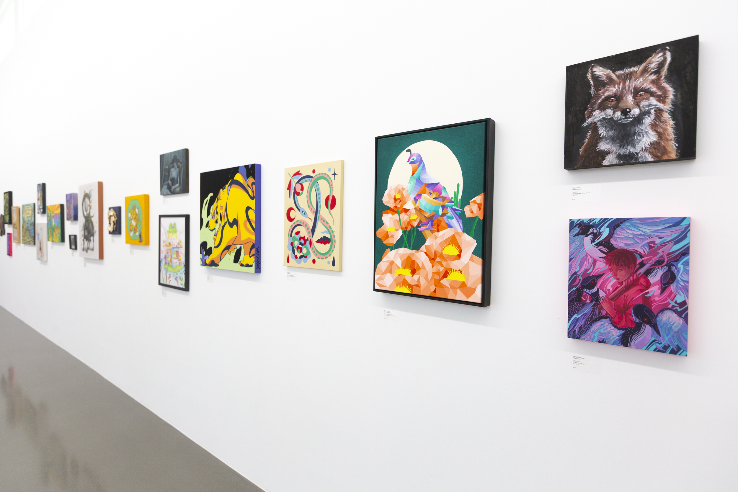 Wild Wonders Install_1.PNG