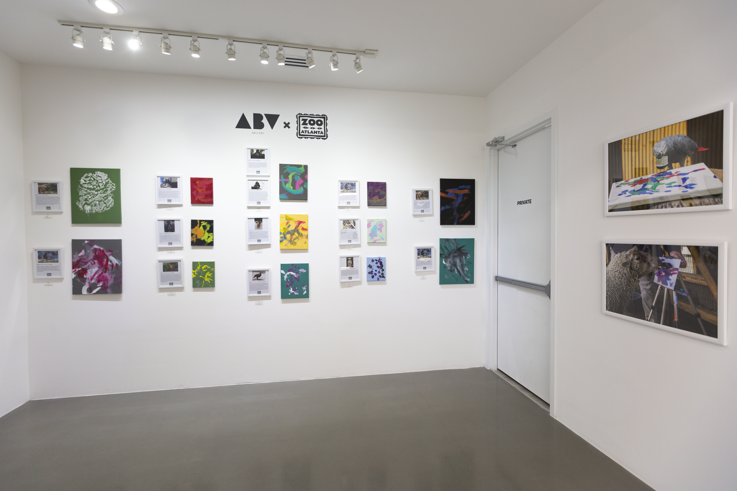 Animal Inspirations_1.PNG