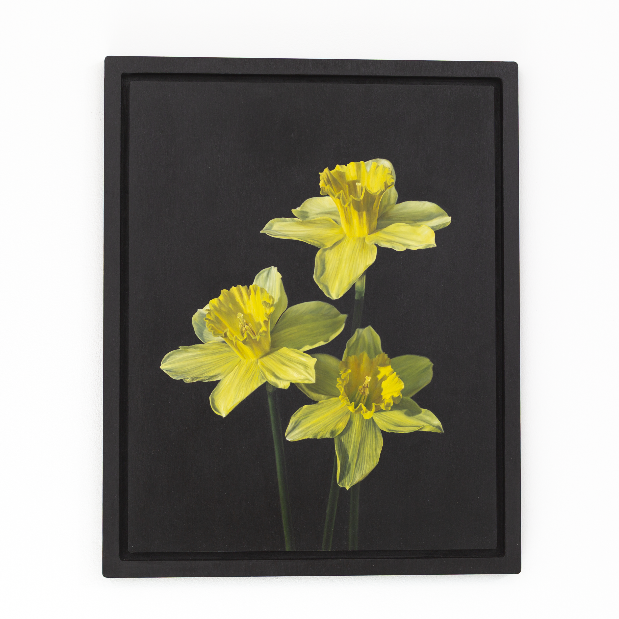 SAMI JACQ - The First Sign of Spring.PNG