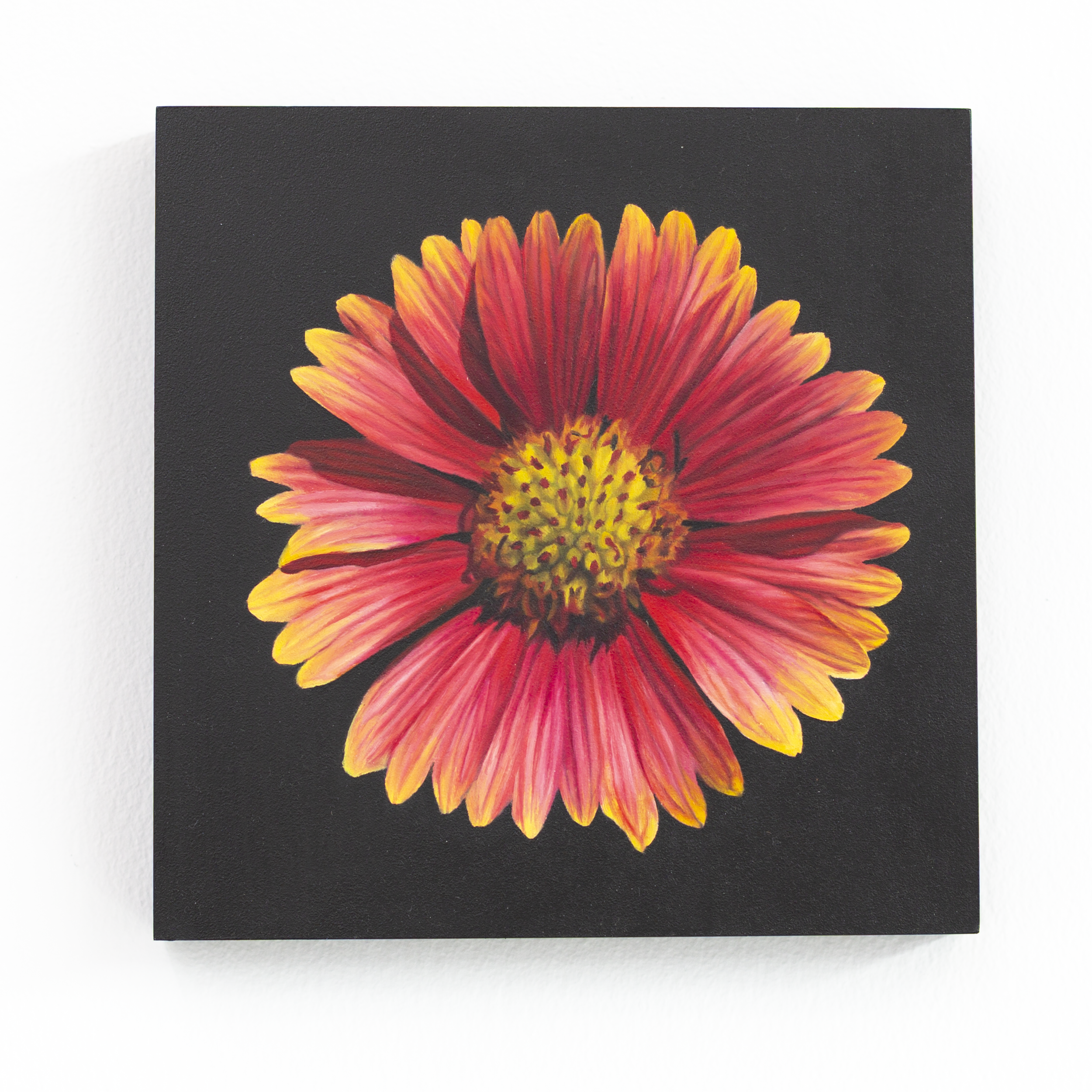 SAMI JACQ - Atlanta Botanical No. 8.PNG