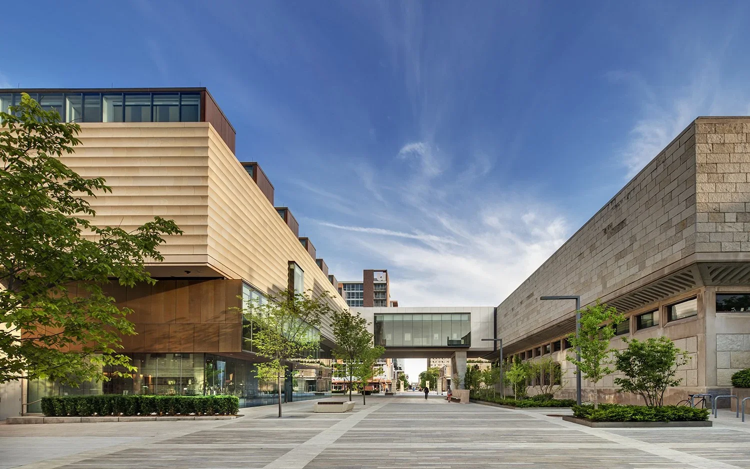 The Chazen Museum of Art
