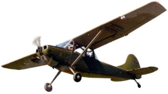 Birddog LN-WNO