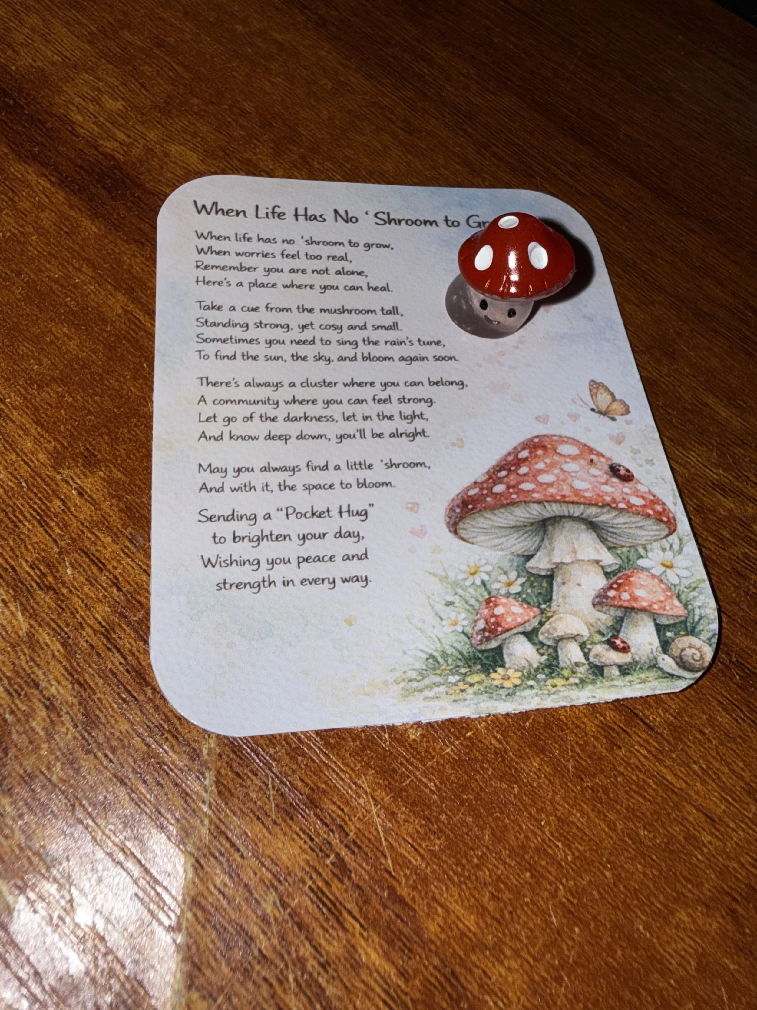 A poem titled 'When Life Has No 'Shroom to Grow,' with a small mushroom figurine with a red cap and white spots placed on top of the paper. The paper also features watercolour illustrations of mushrooms and a butterfly. Mental health pocket hug.