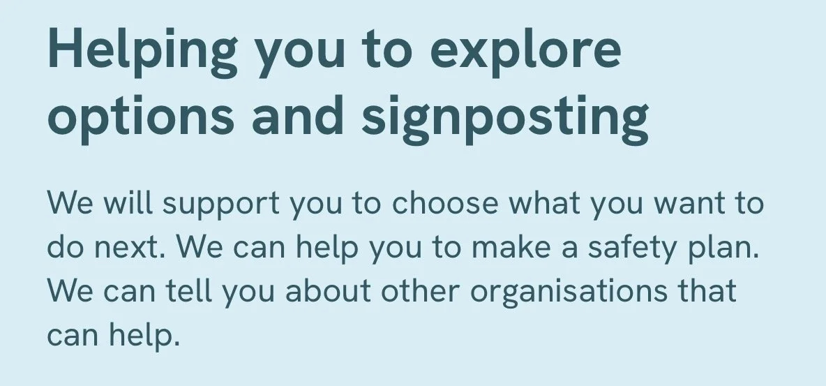 A light blue background with dark blue text that says: "Helping you to explore options and signposting. We will support you to choose what you want to do next. We can help you to make a safety plan. We can tell you about other organisations that can help."