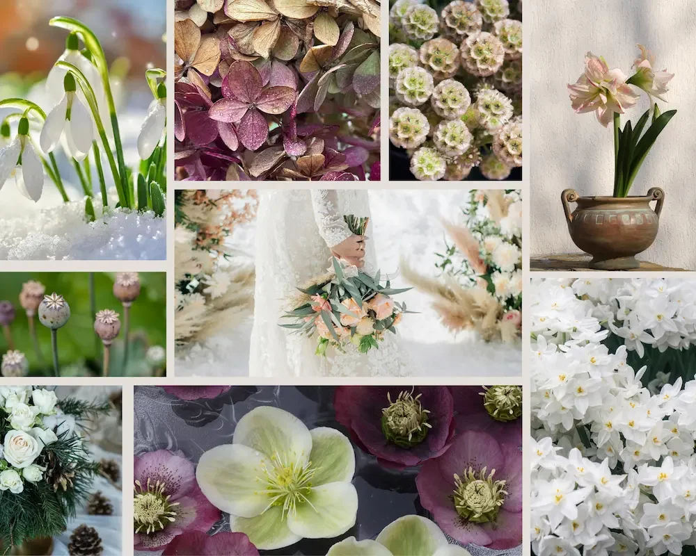 Winter wedding flower varieties from Breemar Flower Farm including hellebore, snowdrops, forced amaryllis, and dried blooms