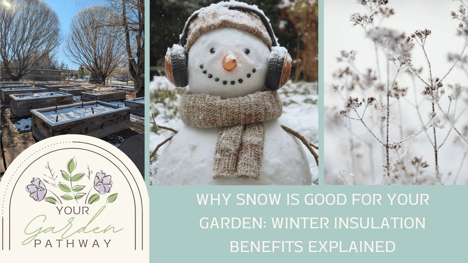 Why Snow Is Good for Your Garden: Winter Insulation Benefits Explained