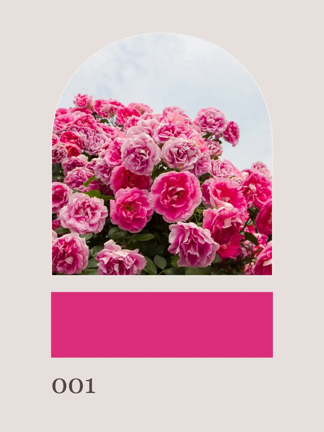 hot-pink-summer-wedding-flowers-ashland-va-florist