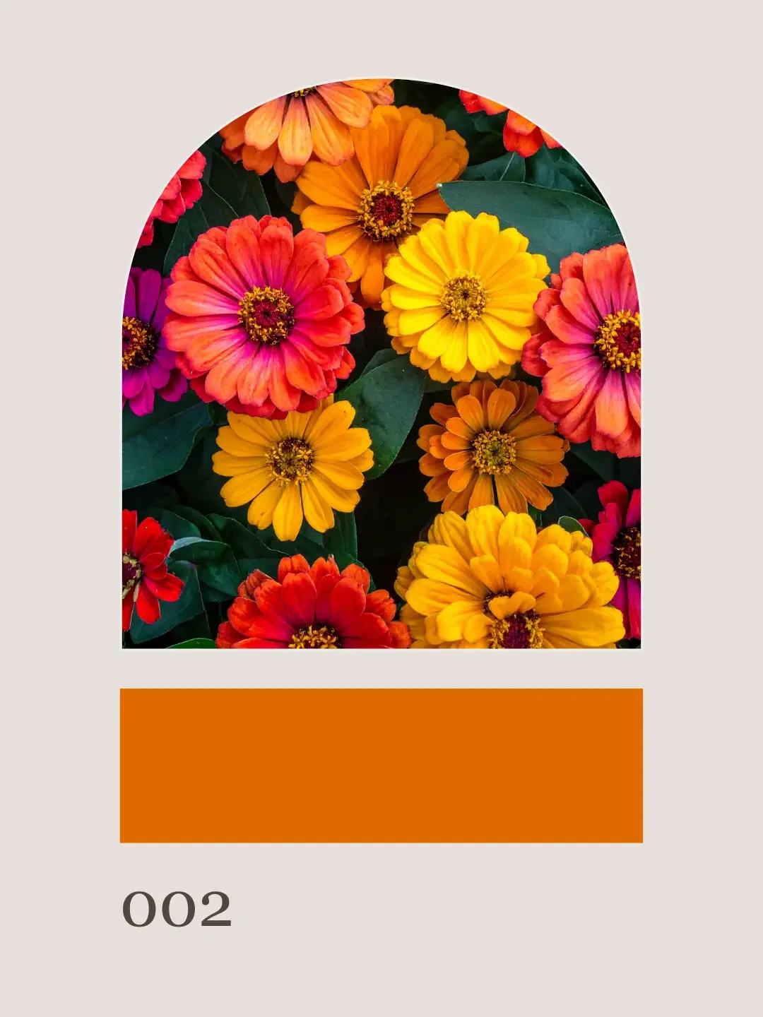 orange-marigolds-zinnias-summer-wedding-flowers