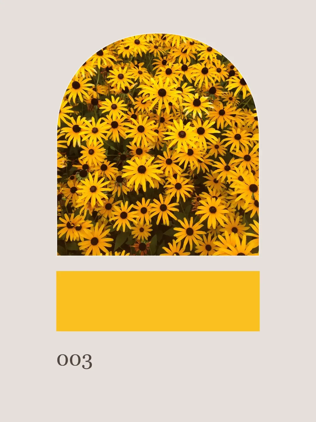 yellow-sunflowers-goldenrod-rudbeckia-wedding-florist-richmond