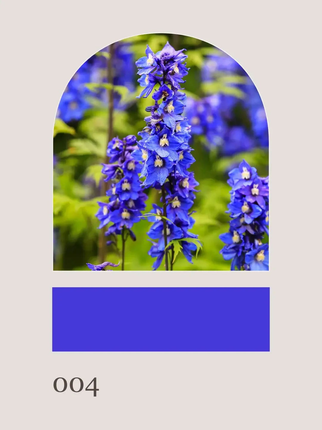 blue-ageratum-purple-lisianthus-delphinium-summer-wedding-va