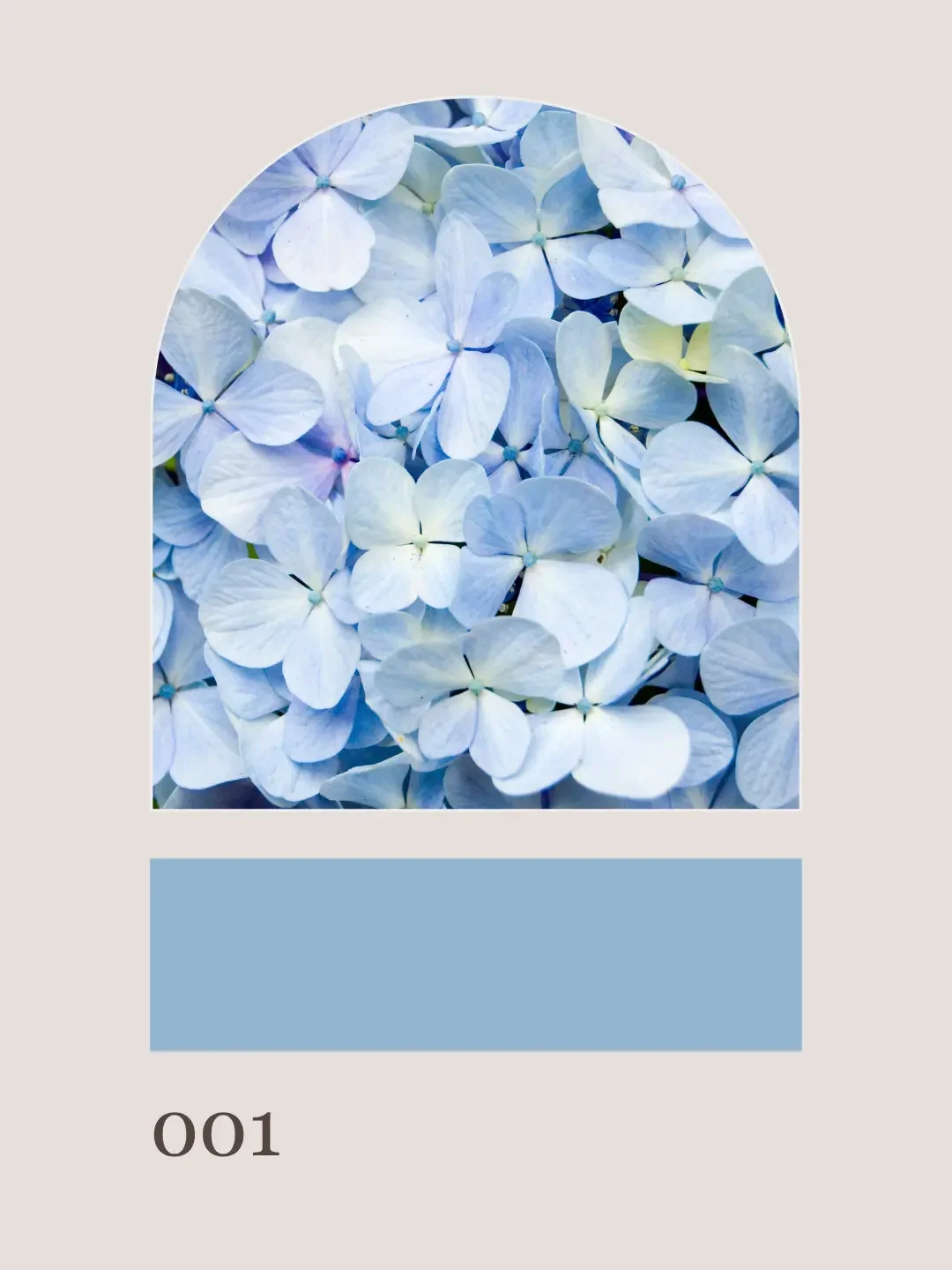 Blueridge Beauty1.webp