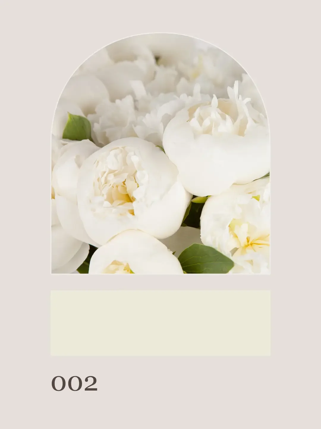 Blueridge Beauty2.webp