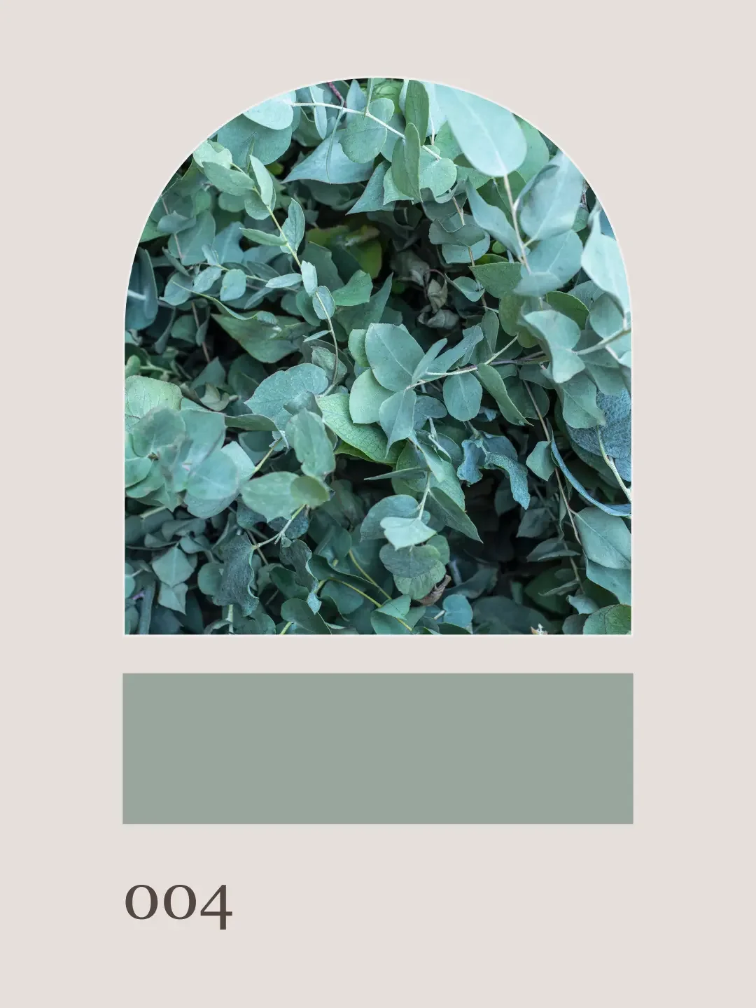 Blueridge Beauty4.webp