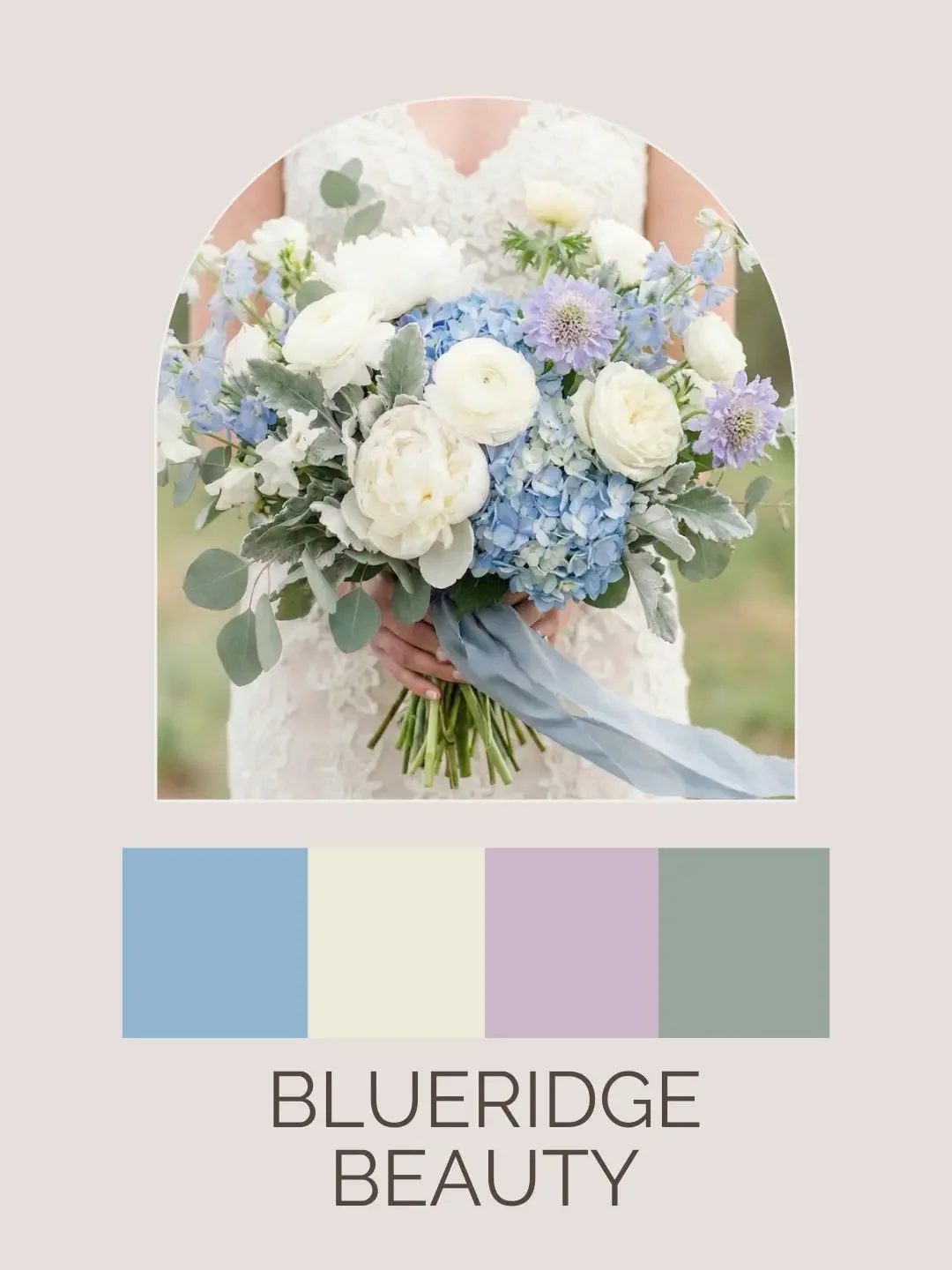Blueridge Beauty Palette.webp