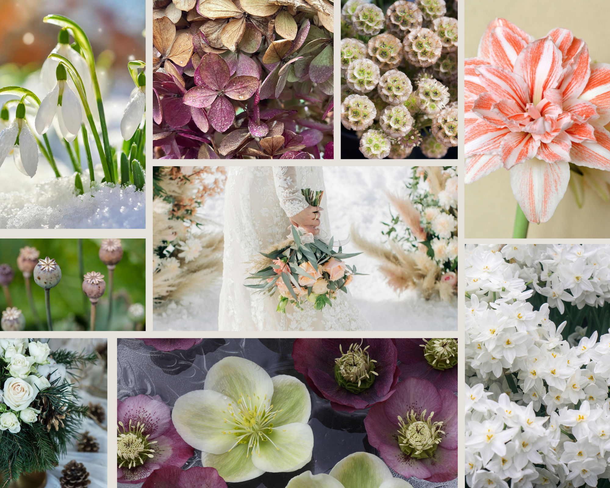 Winter Wedding Flower Options.png