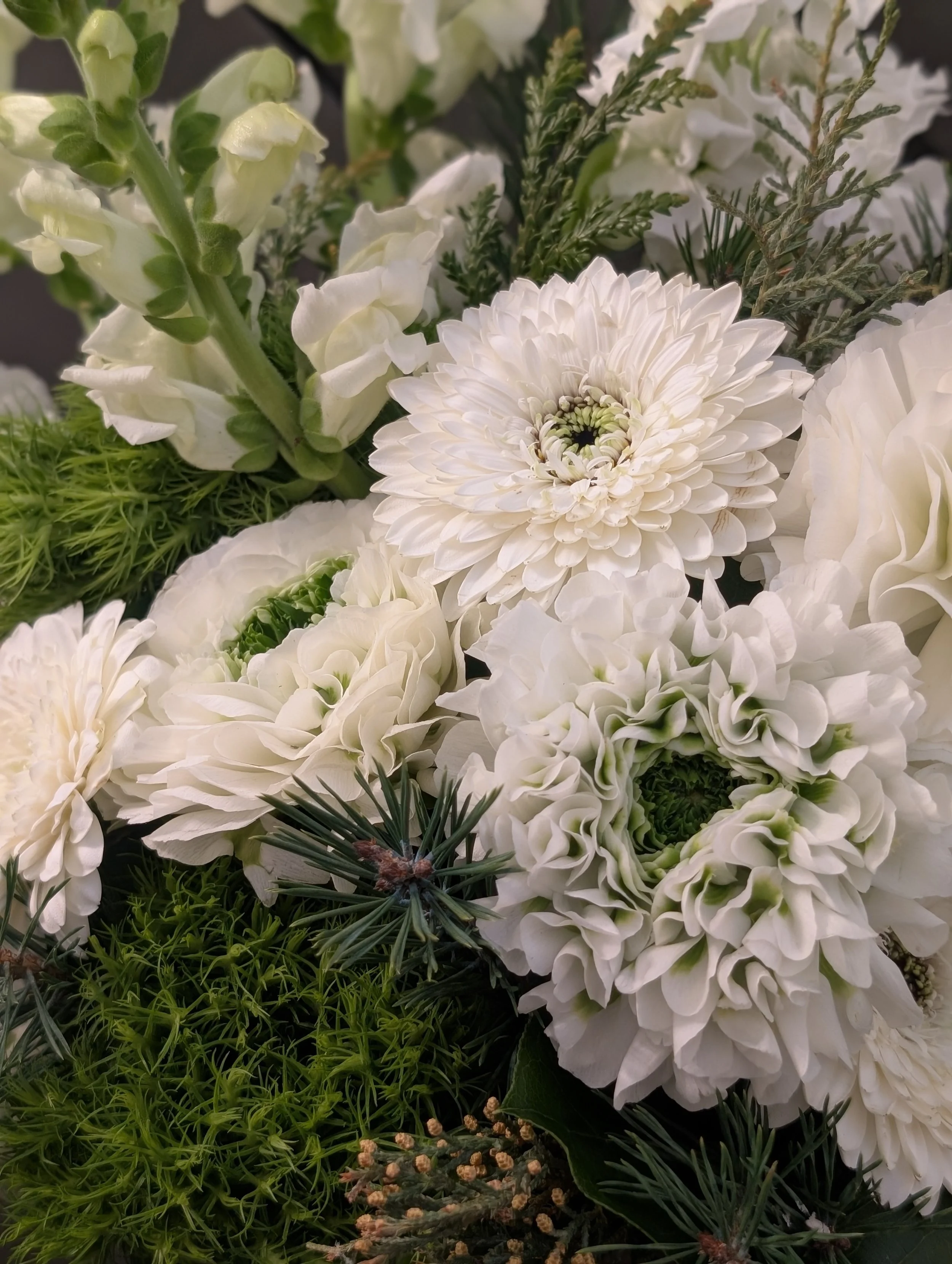 Handcrafted evergreen wreaths and holiday amaryllis kits from Breemar Flower Farm, featured at the Carytown Artisan Market and local holiday workshops in Richmond, VA.