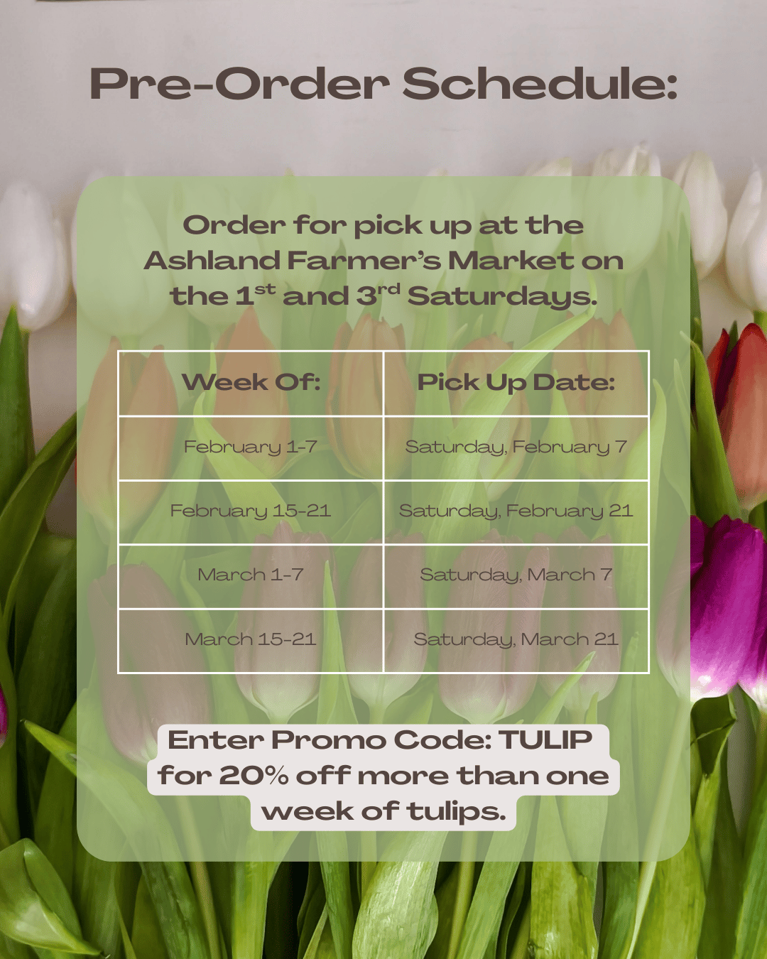 Tulip Pre-Order Schedule.png