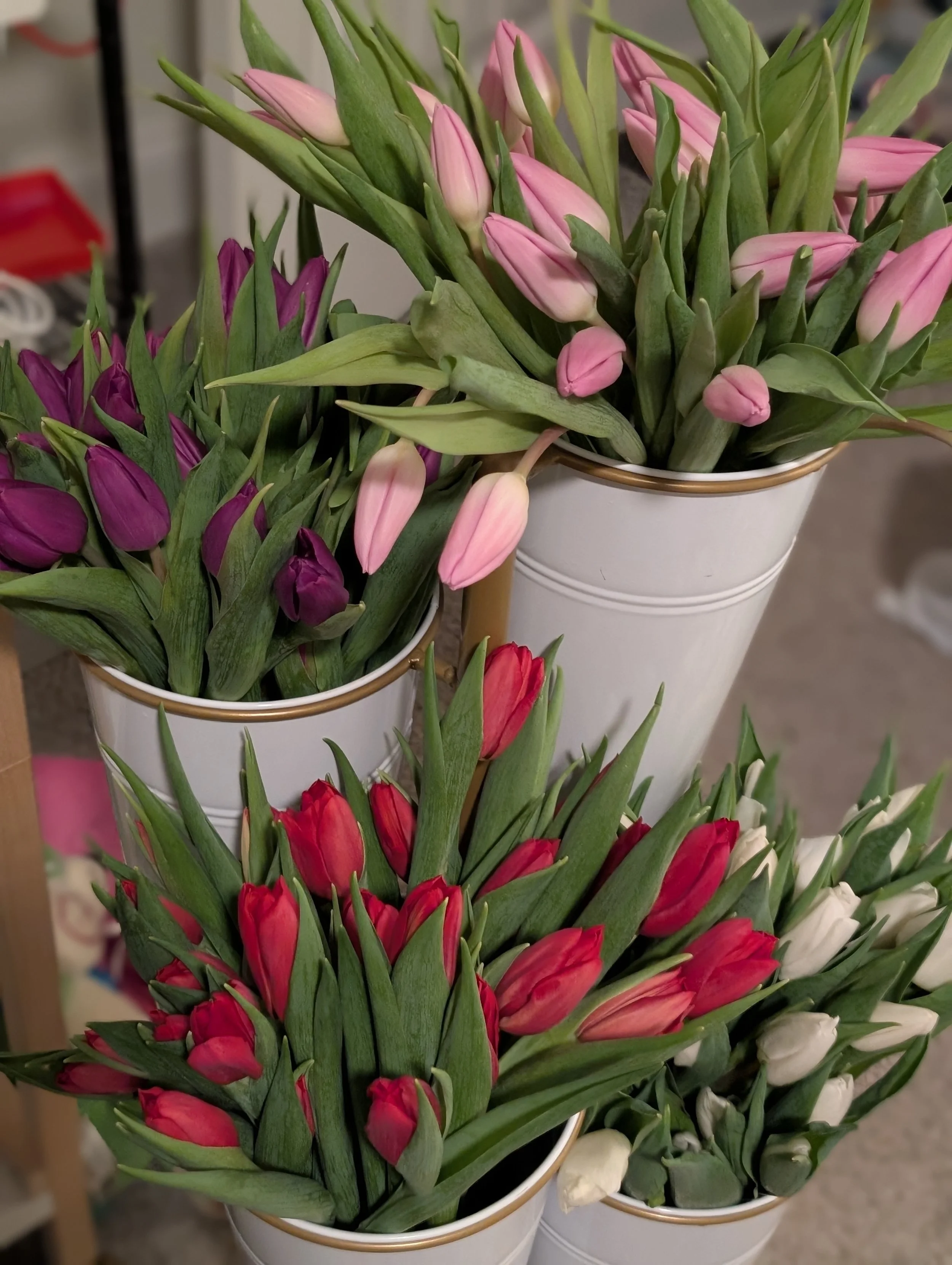 DIY Tulip Bar for Parties & Events