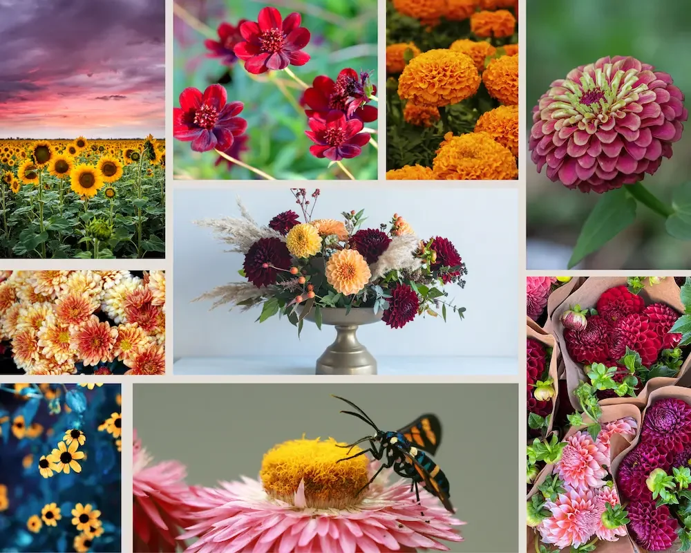Seasonal fall wedding flowers featuring locally grown sunflowers, marigolds, celosia, and rich autumn textures for a Richmond Virginia wedding.