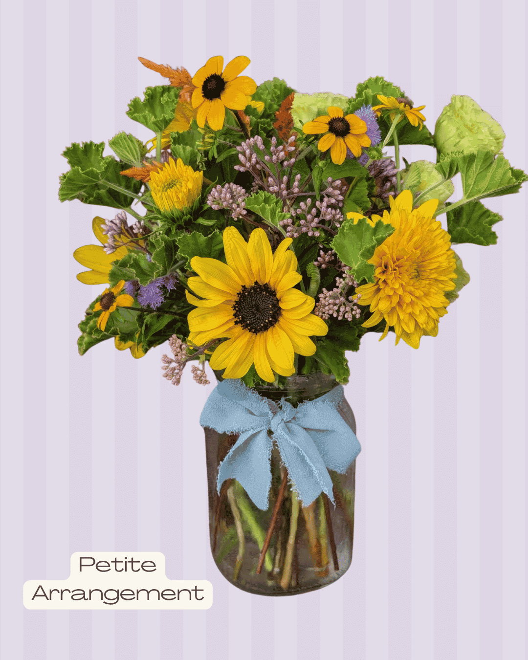 Petite Arrangement.png