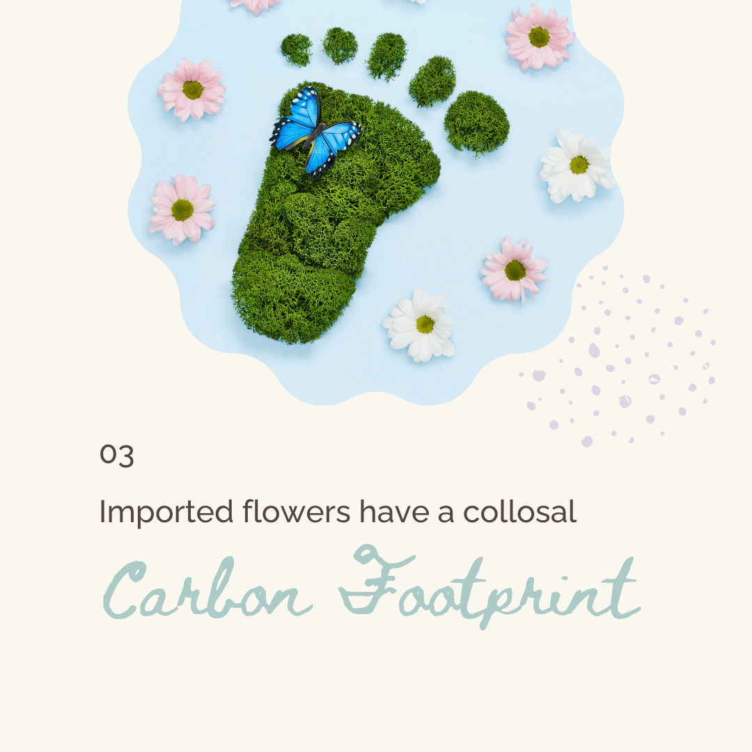 Breemar Flower Farm, near Richmond, VA minimizes their use of imported flowers due to their carbon footprint.