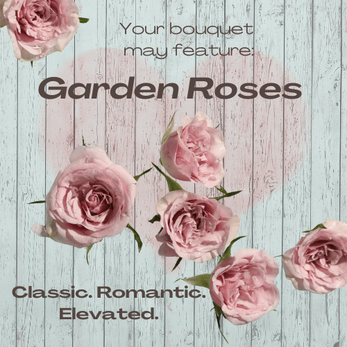Garden Roses.png
