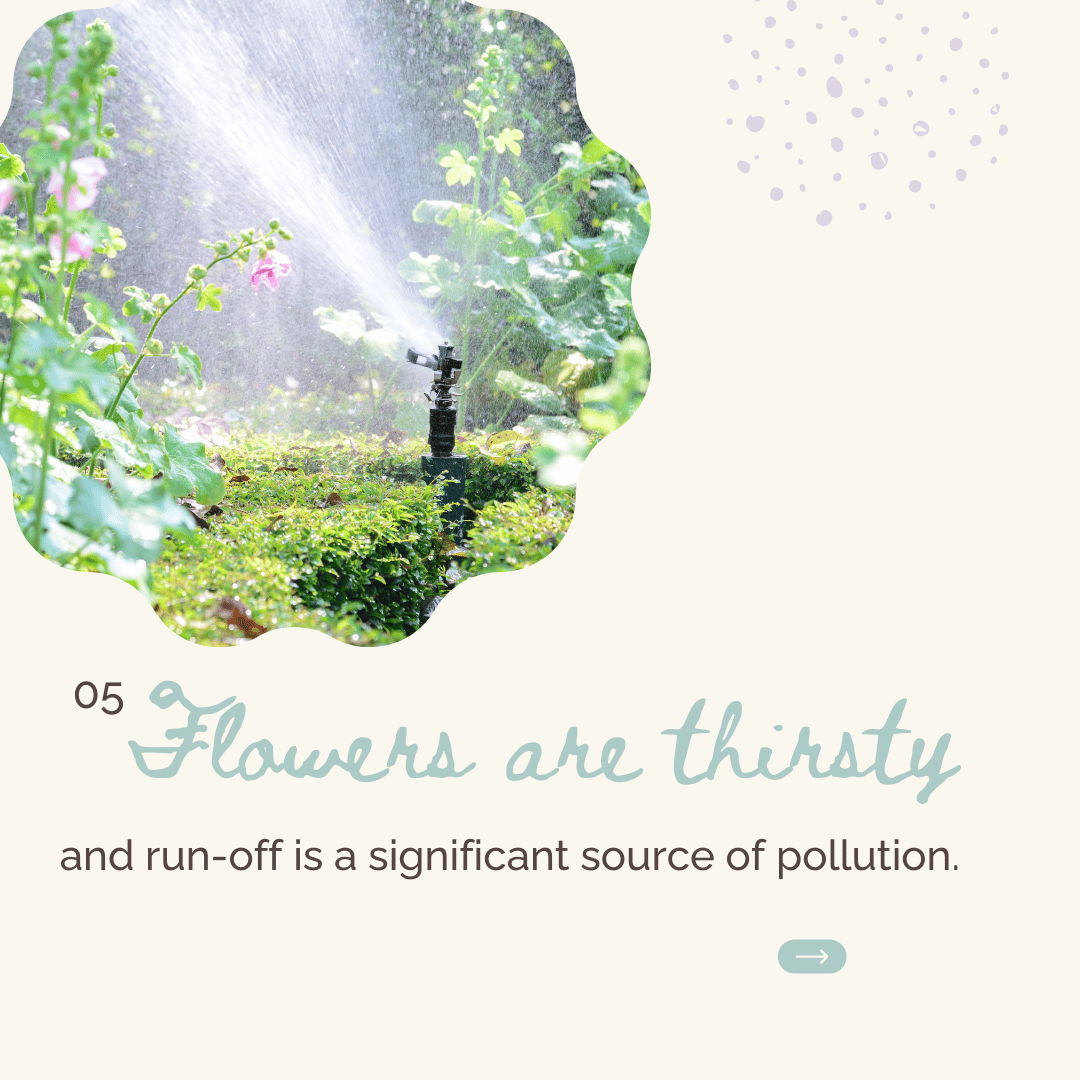 Breemar Flower Farm in Ashland, VA fertilizes their crops responsibly to reduce pollution by water run off.