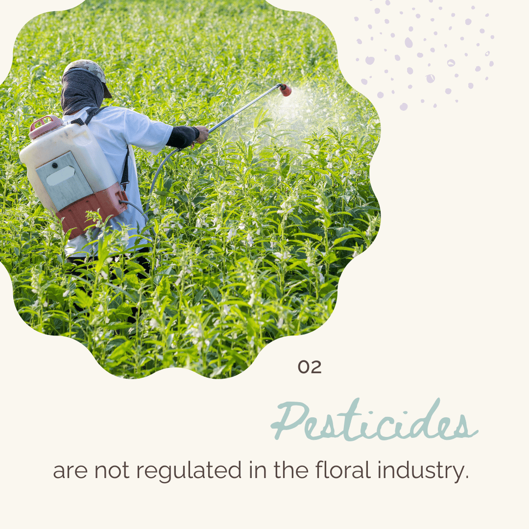 Breemar Flower Farm in Hanover, VA does not use pesticides on their flowers.