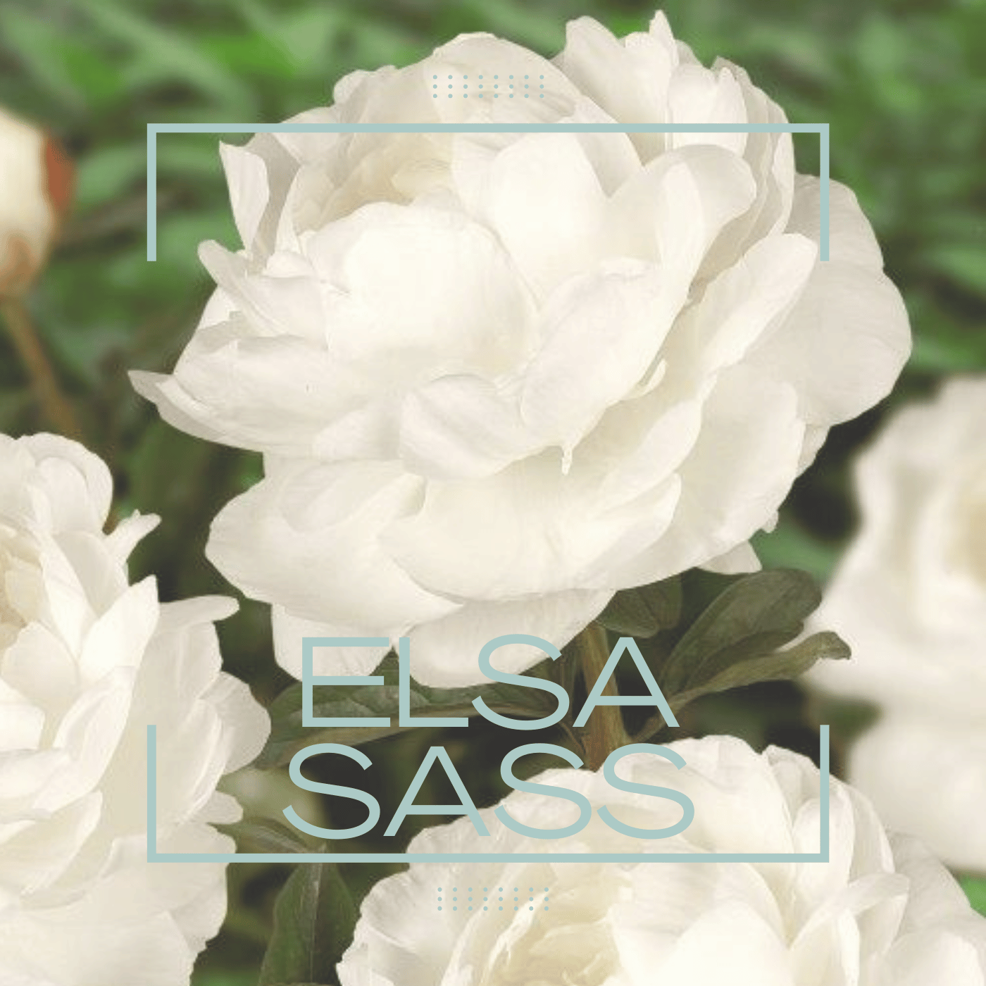 Elsa Sass Peony.png