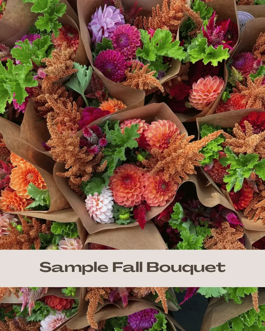Fall Sample Wrapped Bouquet.webp