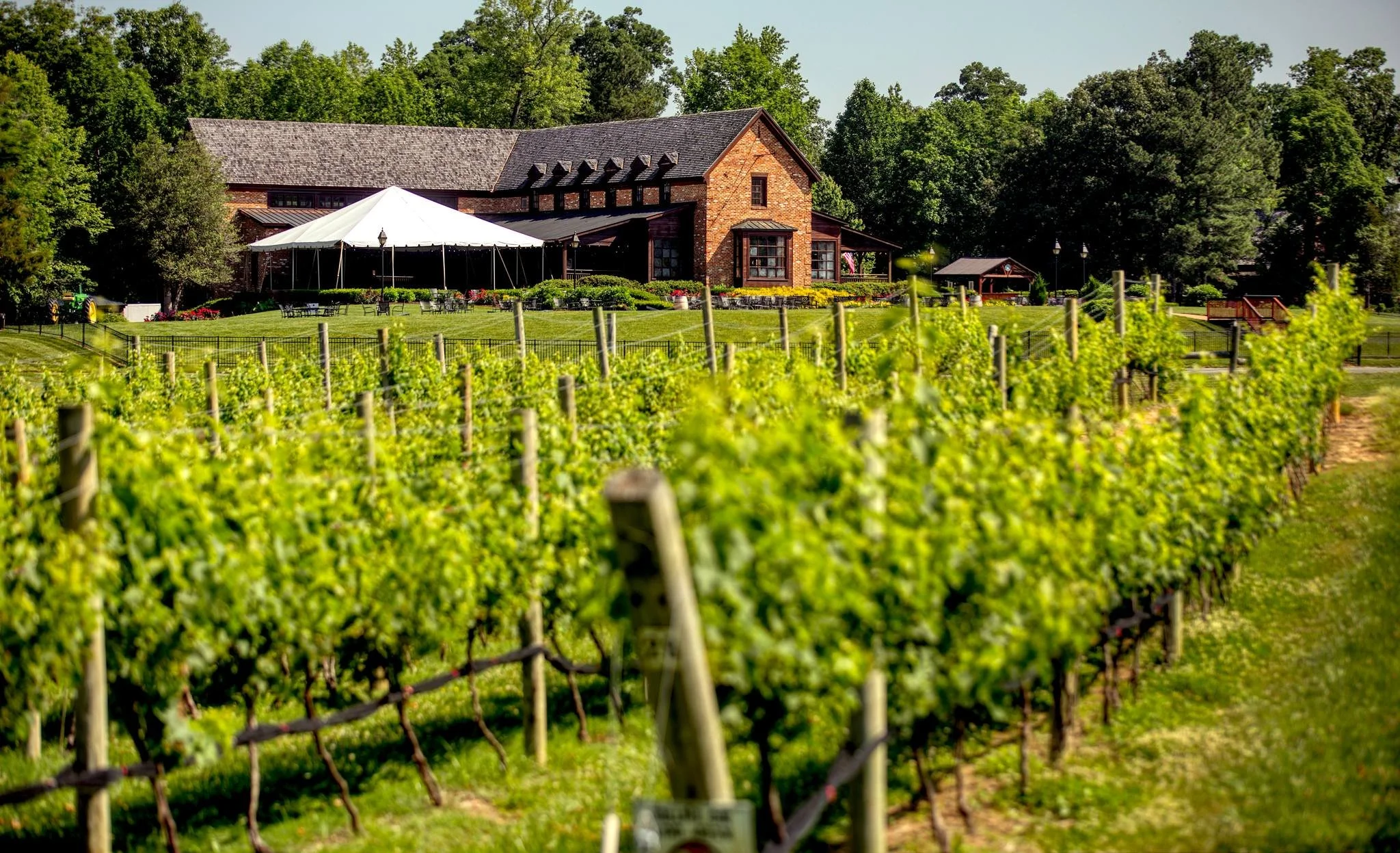 New Kent Winery