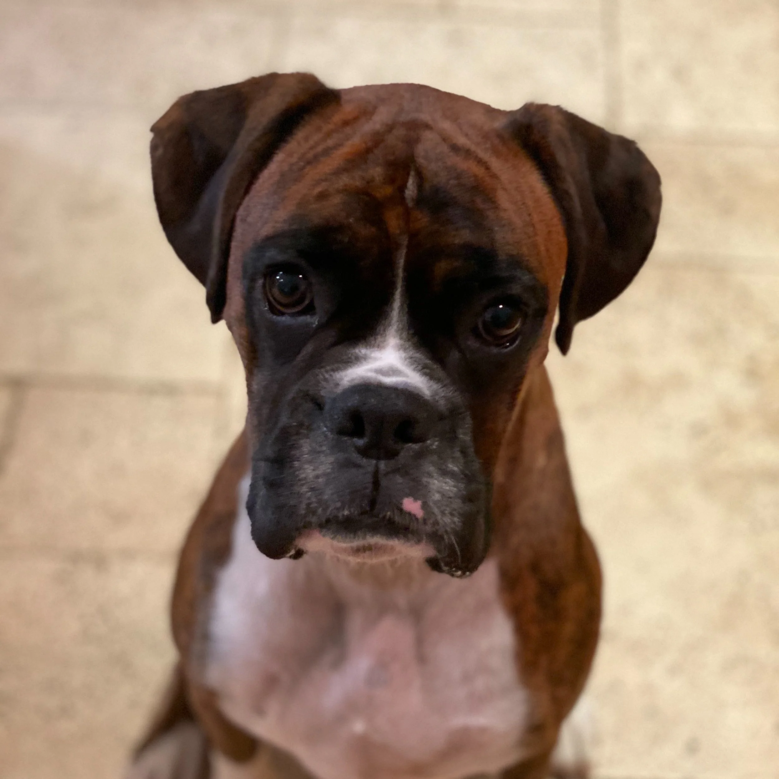 Basil — Kingsley Bond Solicitors