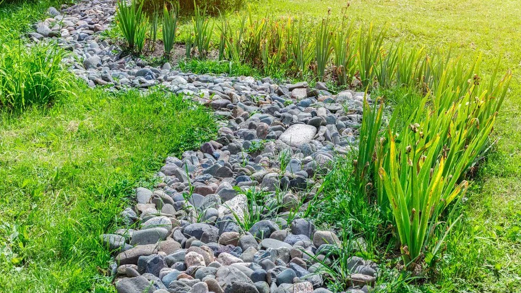 Discover Creative Dry Creek Bed Landscaping Ideas Here