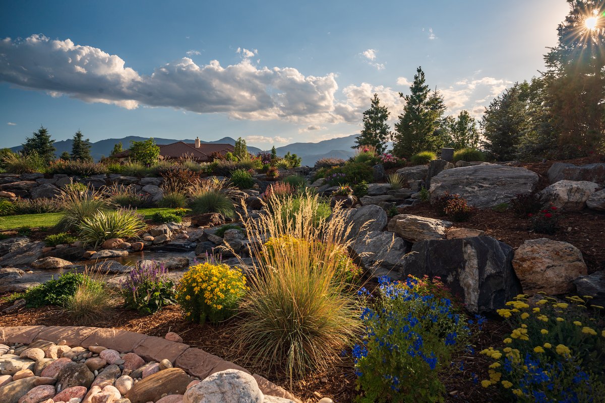 Landscape design with plantings in Black Forest, CO