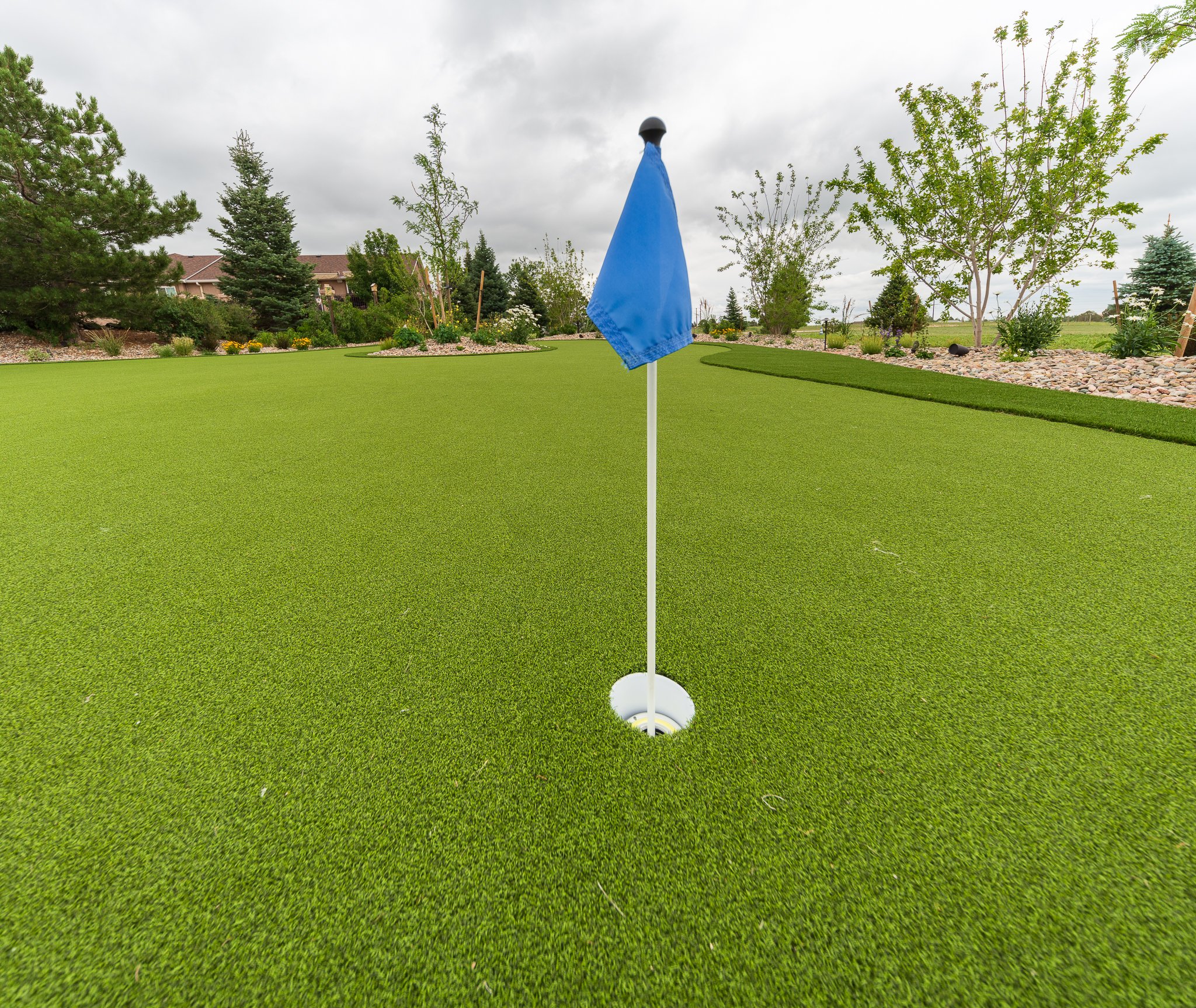 Top quality artificial turf in Northgate, CO