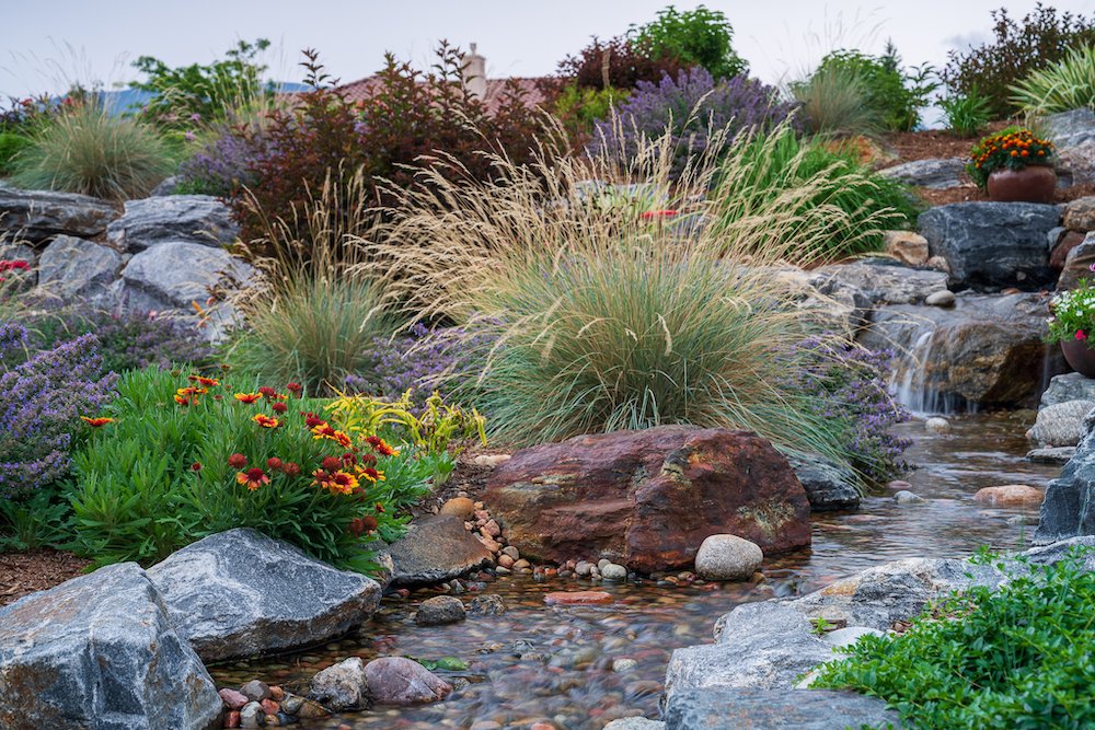 Ideas for plantings in Castle Pines, CO