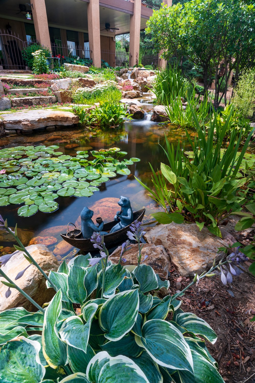 Ideas for pond in Castle Pines, CO