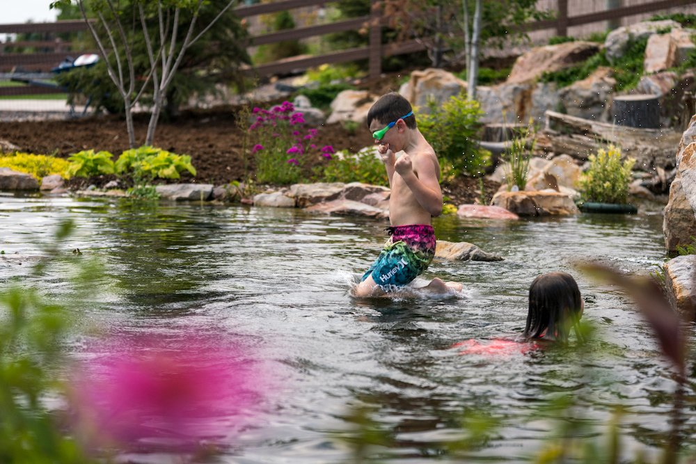 Landscape design with pond in Black Forest, CO